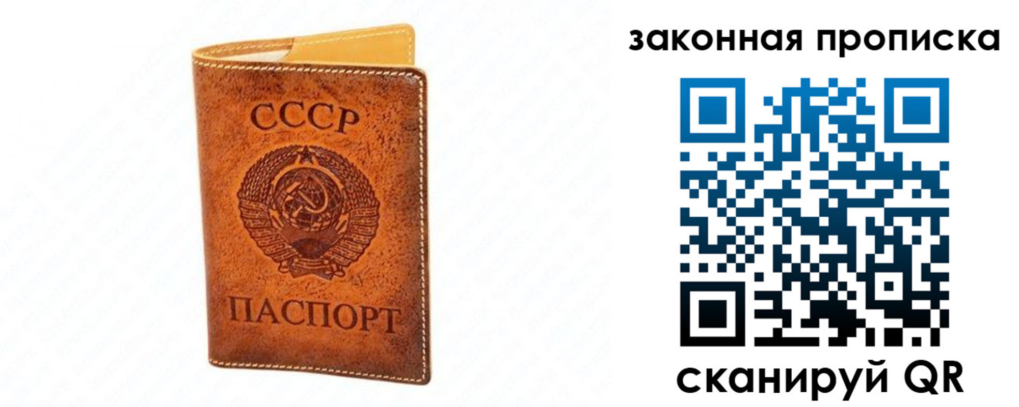 прописка в Электрогорске
