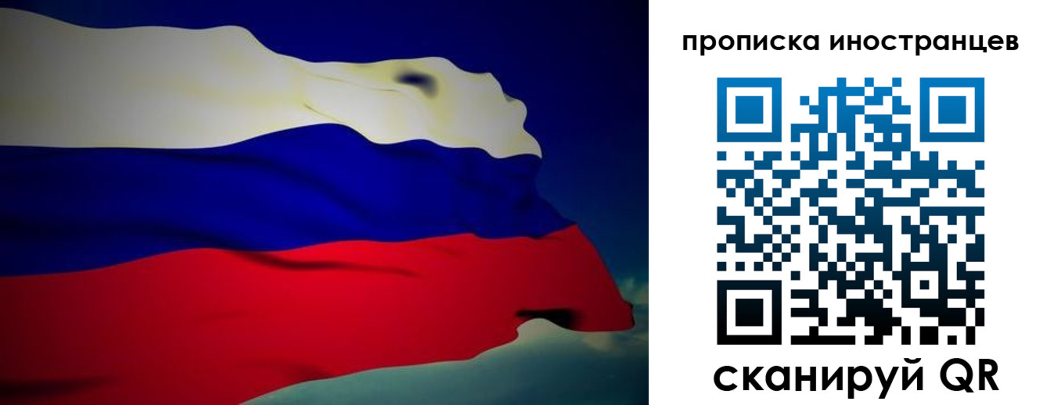 найти адрес прописки в Электрогорске